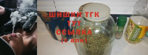 шишки Белокуриха